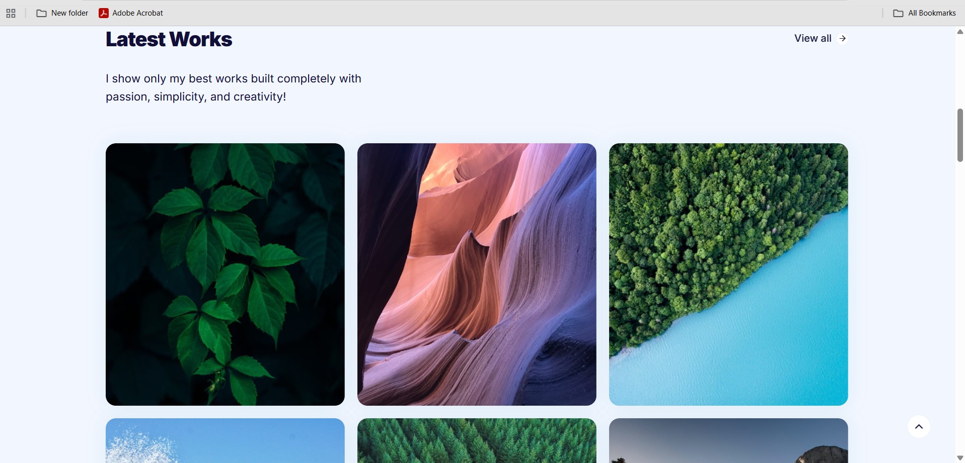 Original Project Section